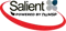 Salient IT