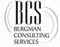 Bergman Consulting Services