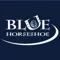 Blue Horseshoe Solutions