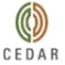 Cedar Management Consulting International